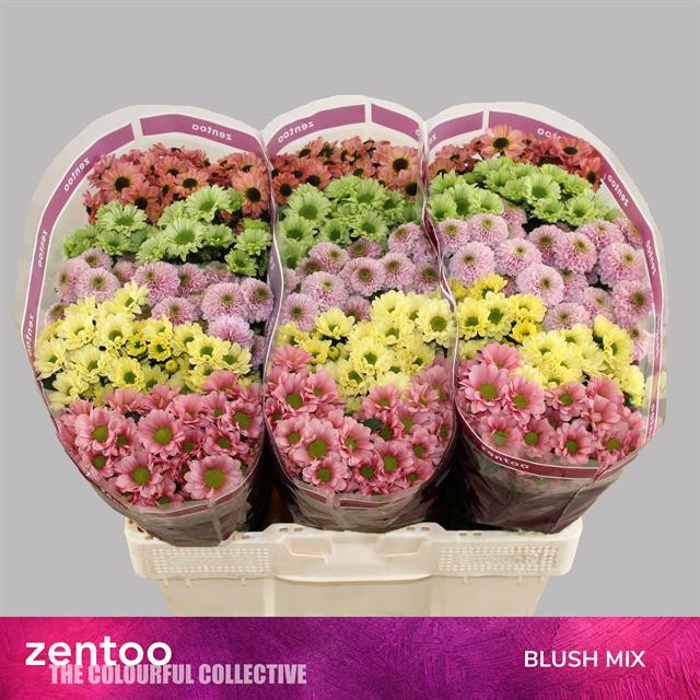 Chr s Mix Blush