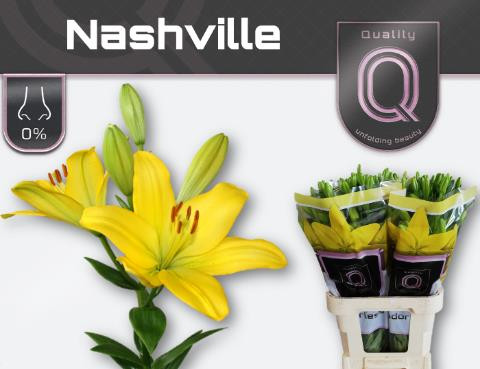 Li la Nashville