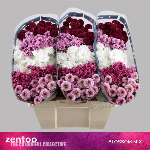 Chr s Mix Blossom