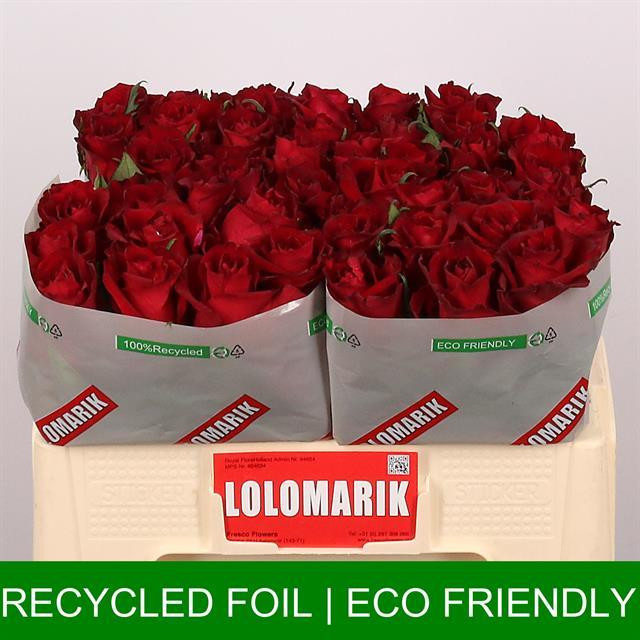 Rose Ever Red TIMA
