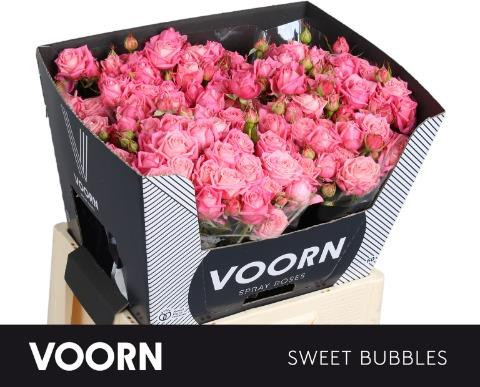 Roses Spray Sweet Bubbles