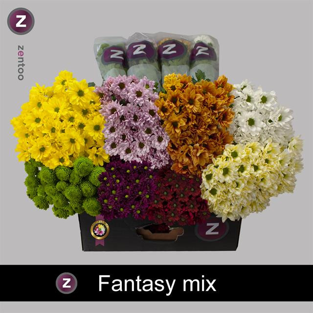 Chr t Fantasy Mixed