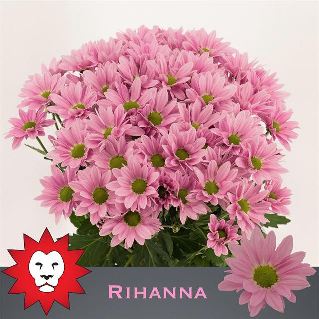 Chr t Rihanna