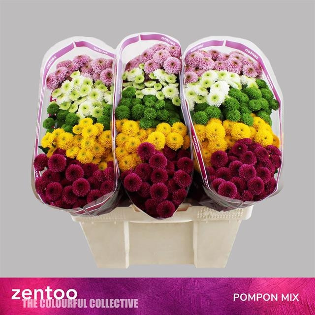 Chr s Pompon Mix
