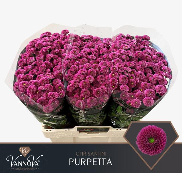 Chr s Purpetta