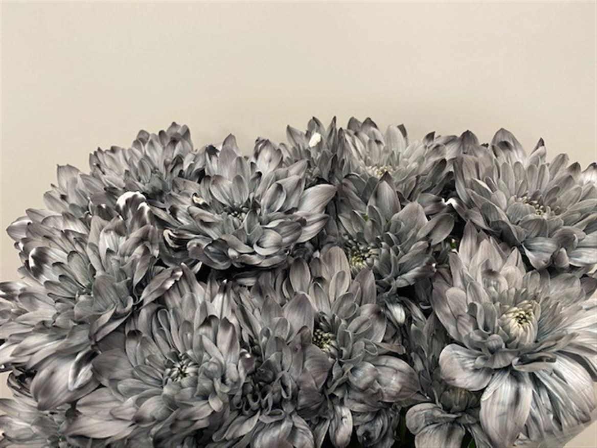 Chr t Paint Baltica Grey