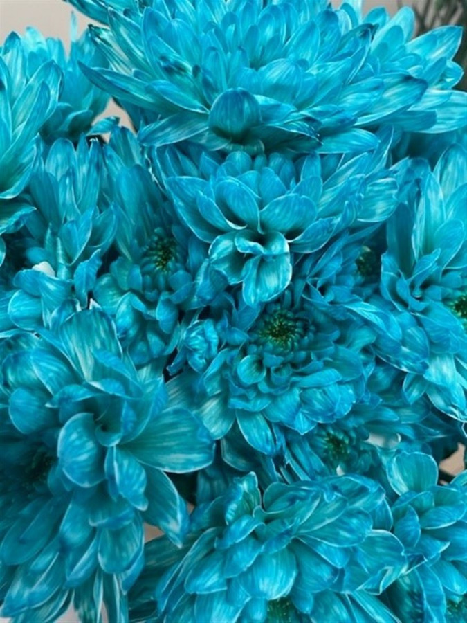 Chr t Paint Baltica Tiffany