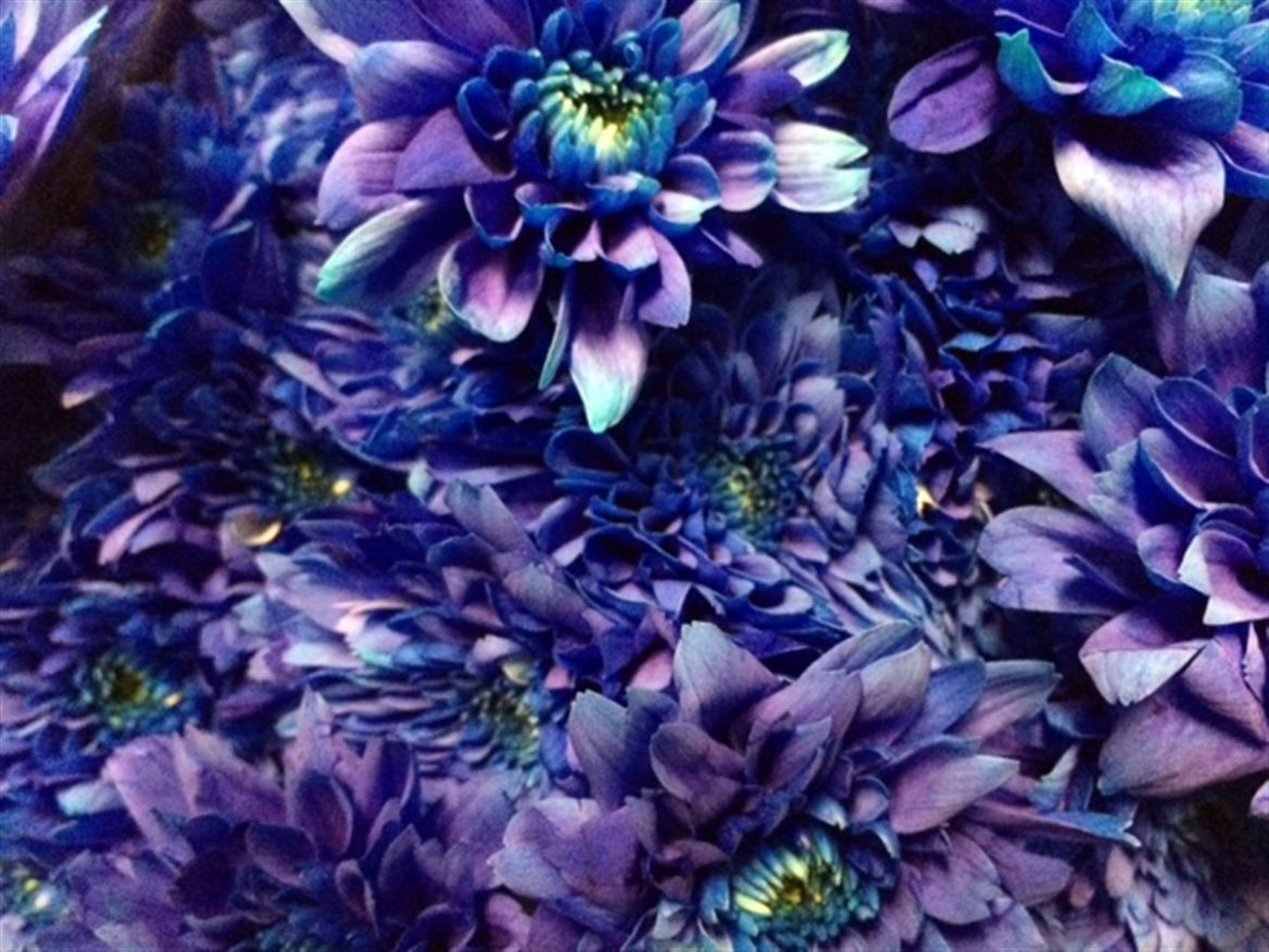 Chr t Paint Euro Blue