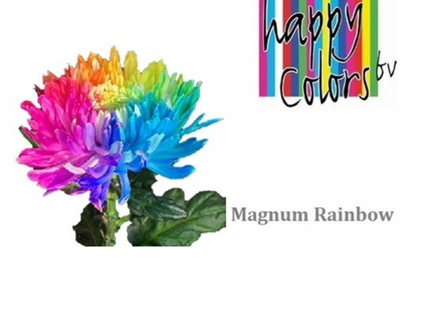 Chr g Paint Magnum Rainbow