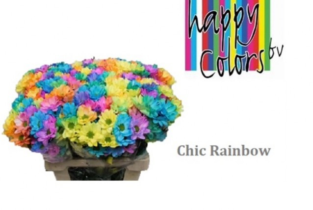 Chr t Paint Chic Rainbow