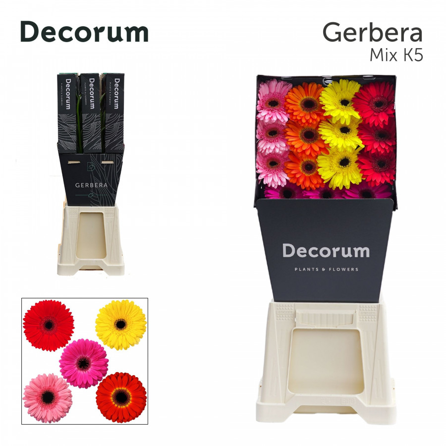 Ge gr Diamonds Decorum Mix