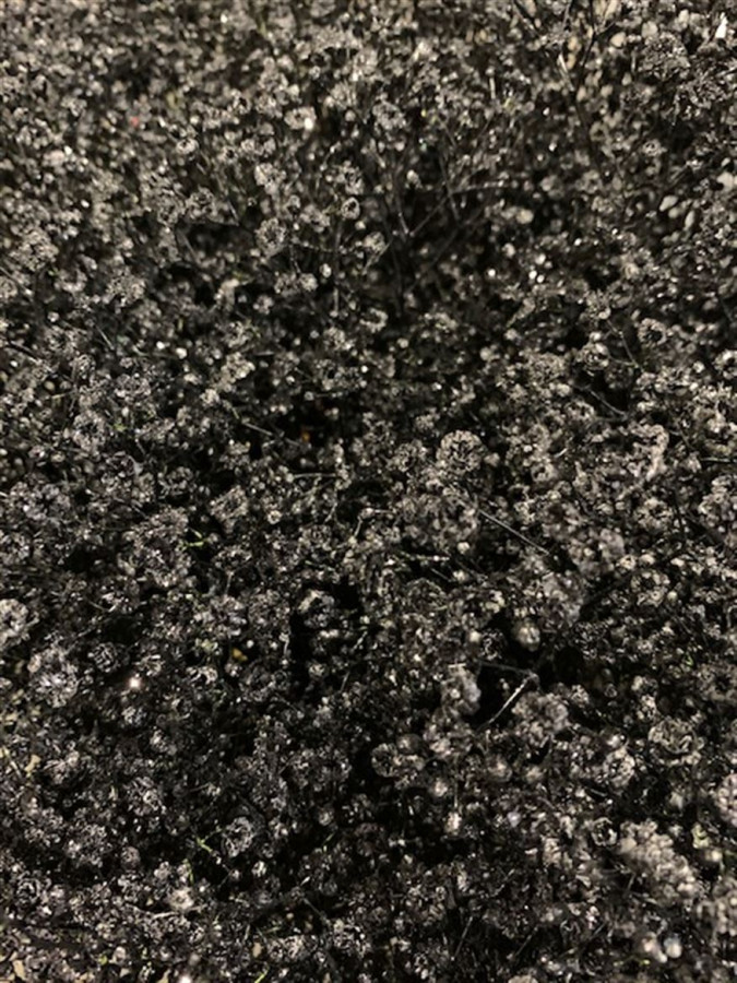 Gyp Paint Xlence black