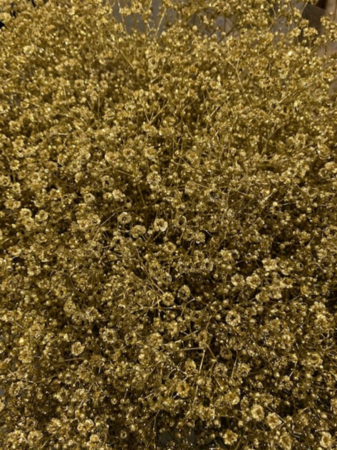 Gyp Paint Mlstr. Gold Glitter