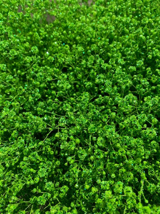 Gyp Paint Xlence green