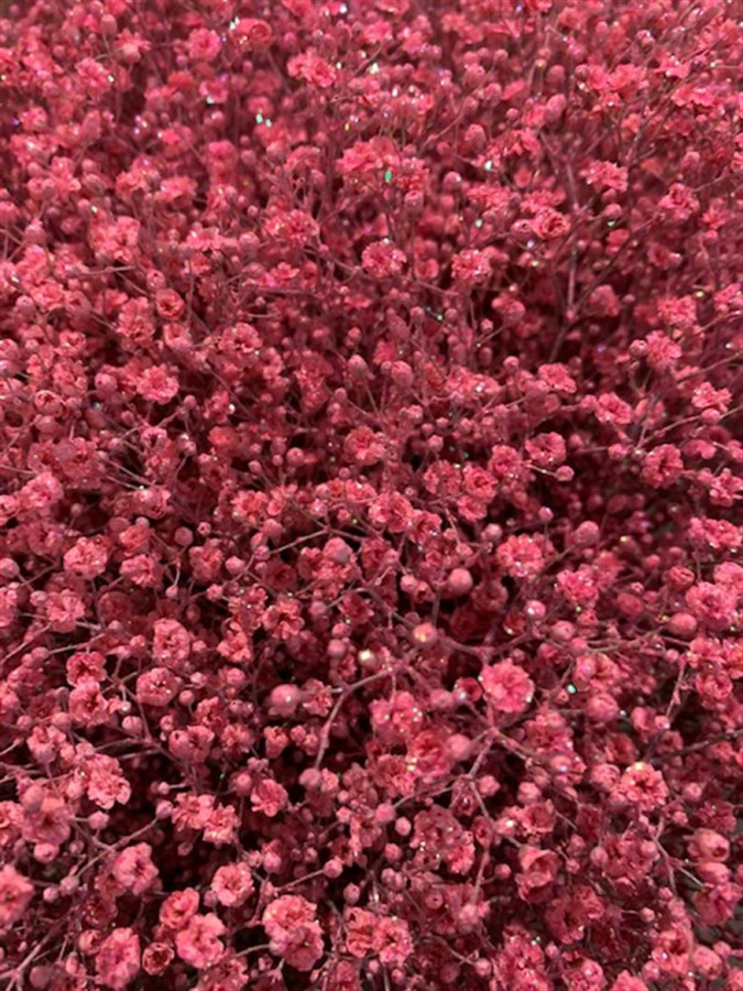Gyp Paint Xlence pink