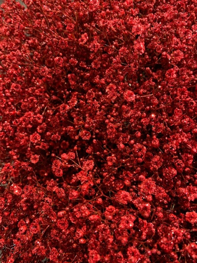 Gyp Paint Mlstr. Red Glitter