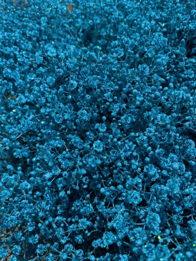 Gyp Paint Xlence light blue