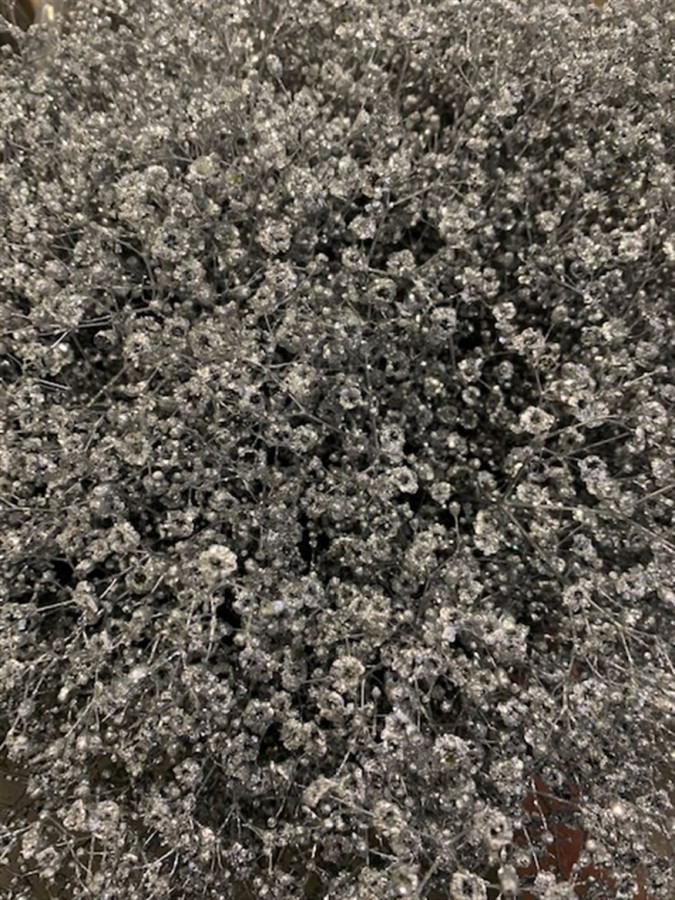 Gyp Paint Mlstr. Silver Glitter
