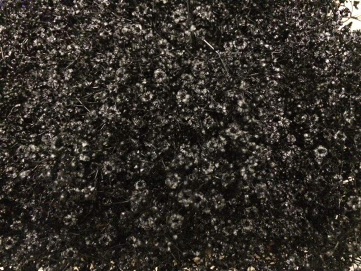 Gyp Paint Mlstr. Black