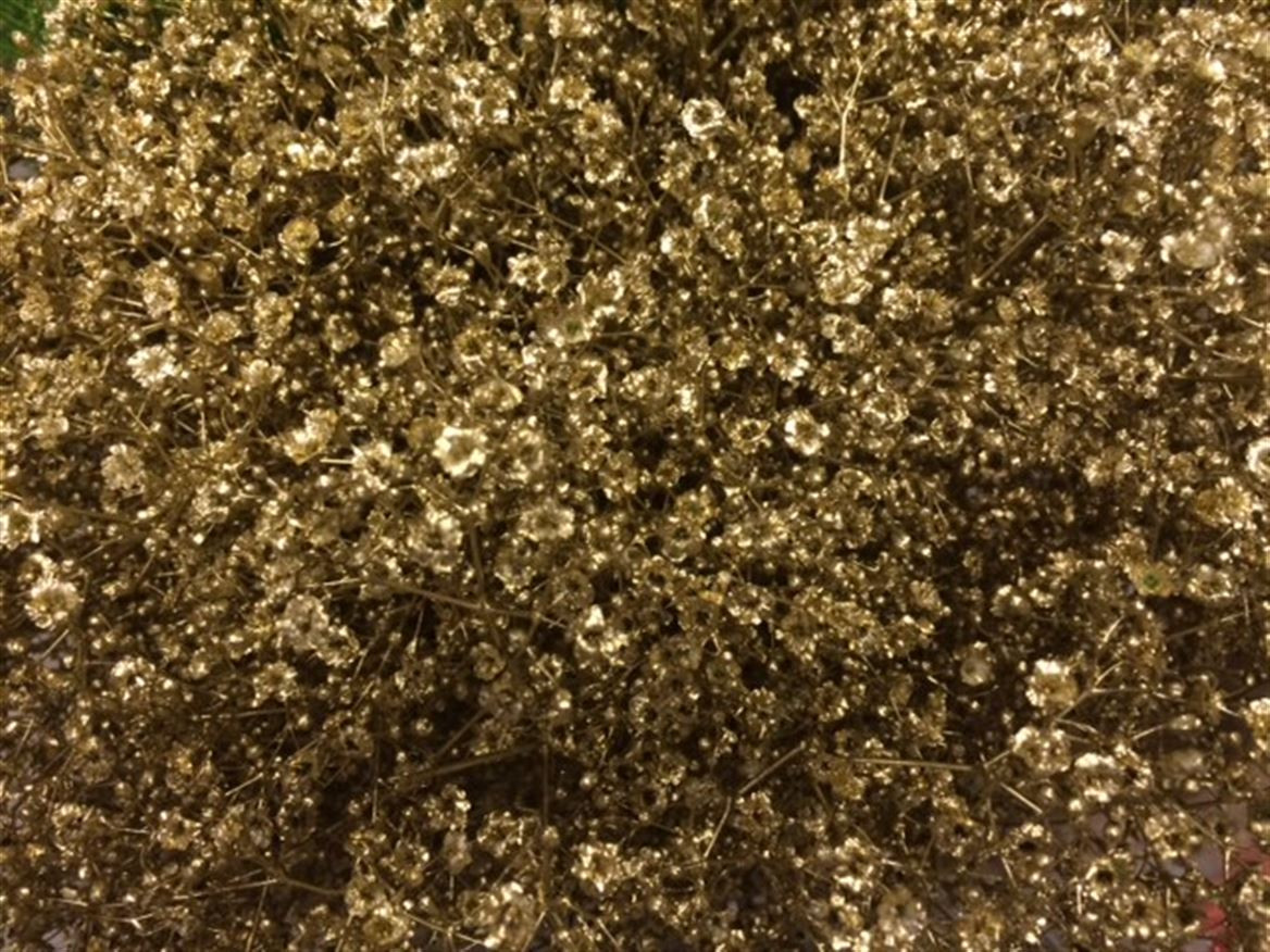 Gyp Paint Mlstr. Gold