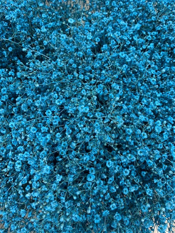 Gyp Paint Mlstr. Sky Blue