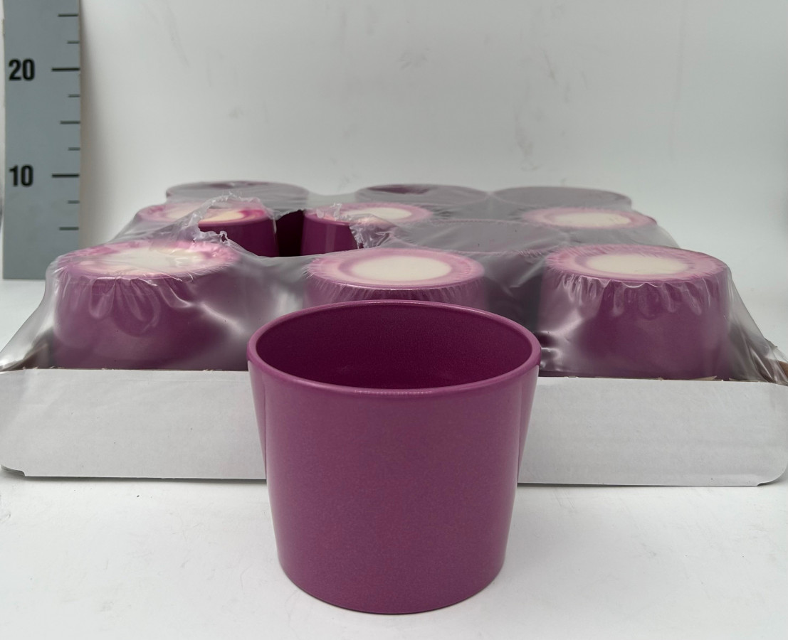 Chr t Purple Star