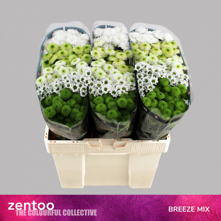 Chr s Mix Breeze