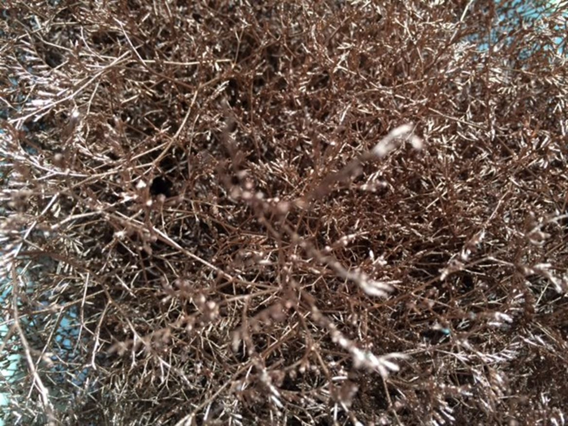 Lim. Paint Copper