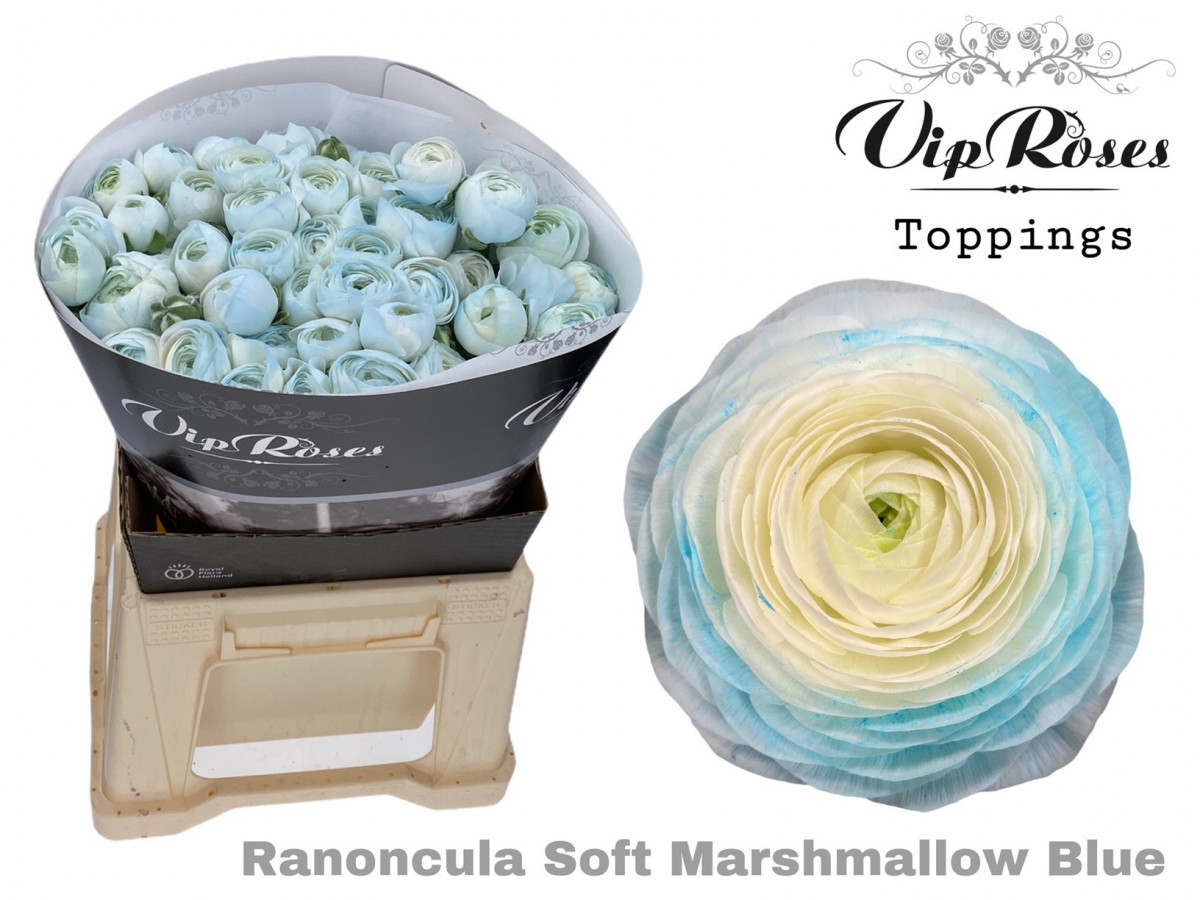 Ran, Imp Mars.Blue V.I.P.