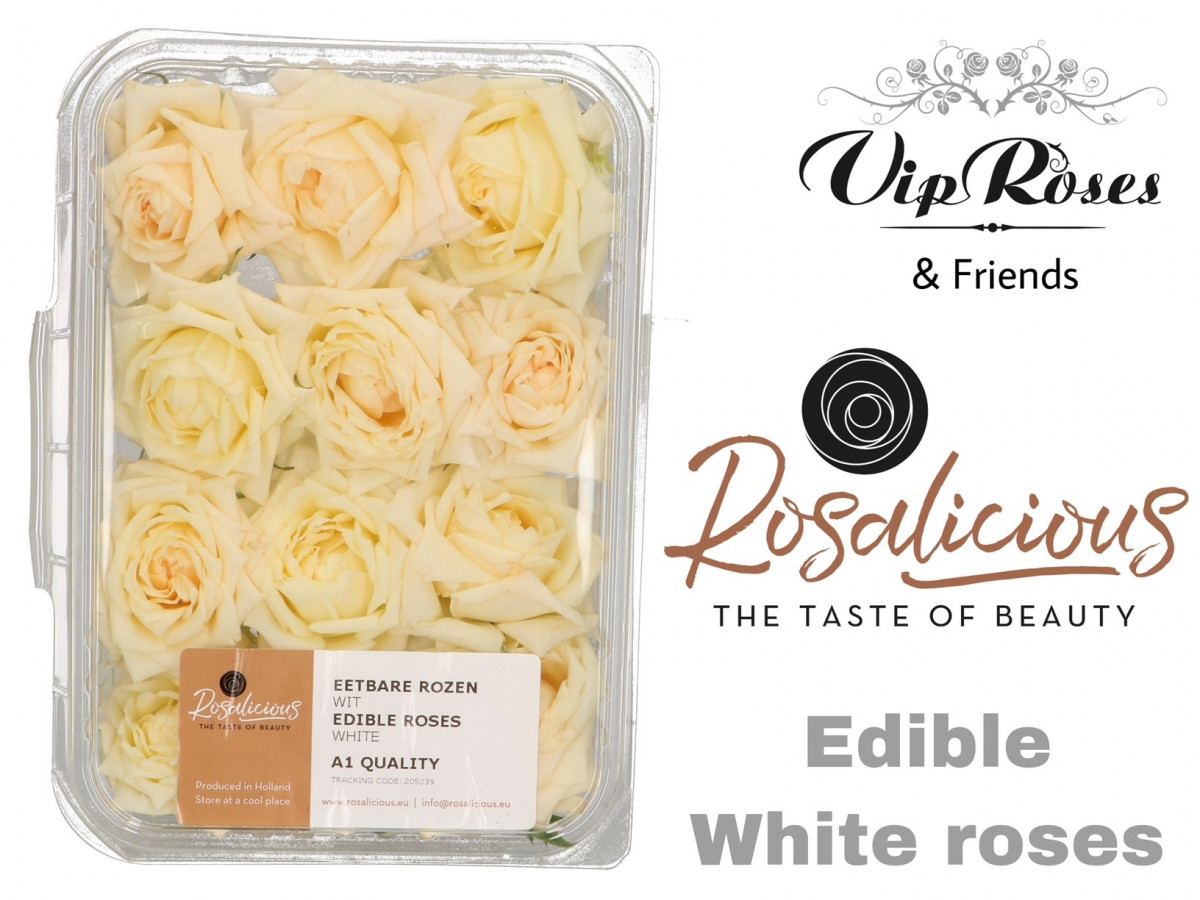Rose 'edible ros.white