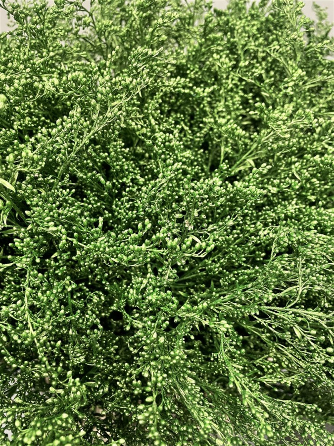 Solidago Paint Metallic Green