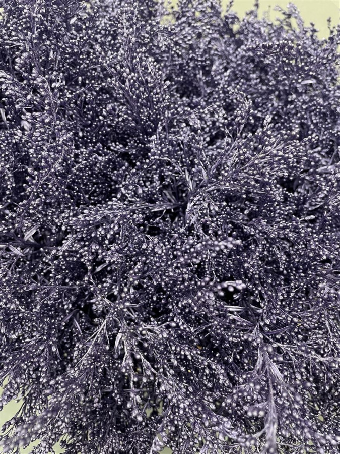 Solidago Paint Metallic Purple