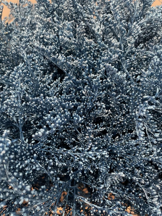 Solidago Paint Metallic Blue