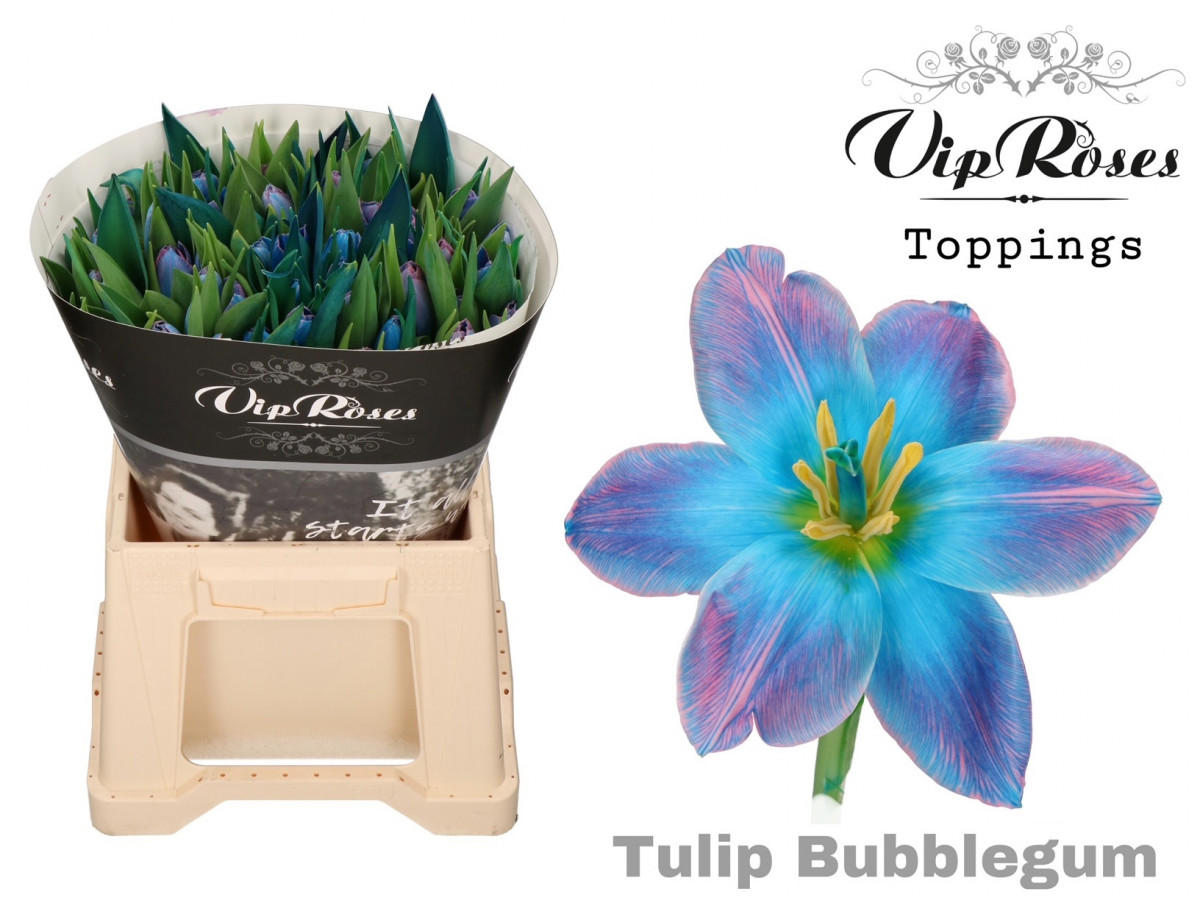 Tulpa en Bubblegum V.I.P.